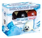 Набор подарочный, Байкальский привет (бальзам Дар Байкала 100 мл + сироп Брусничный с травами 100 мл +сироп Черничный с травами 100 мл) коробка